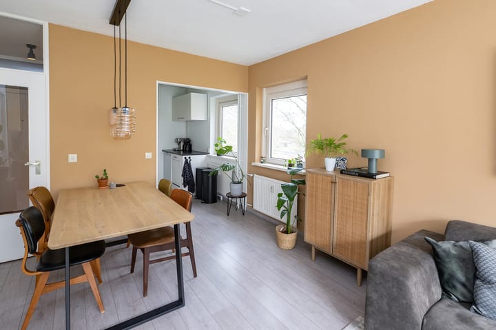 Foto 6 van Straussplein 26