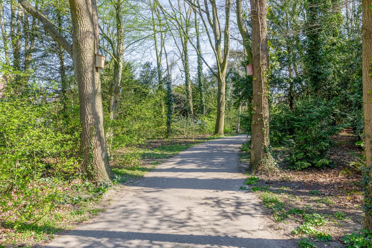 Foto 49 van Jacob Catslaan 13