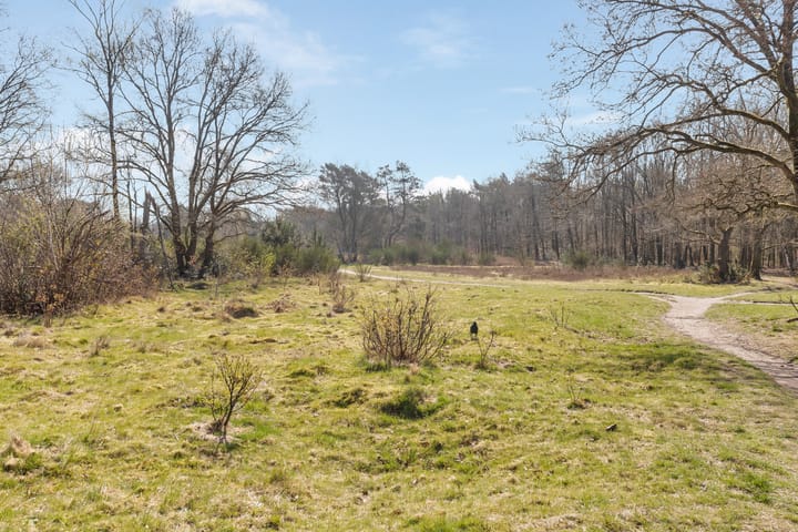 Foto 22 van Karel Doormanlaan 71