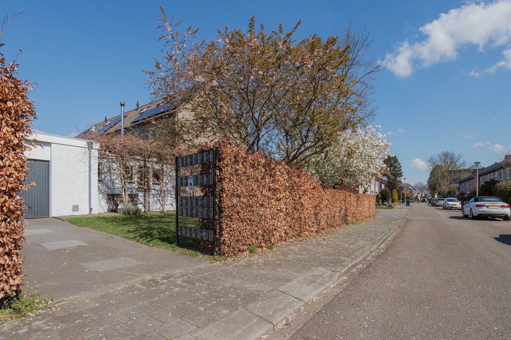 Foto 51 van Zegersstraat 28