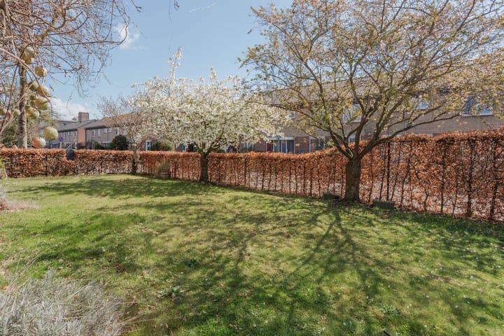 Foto 58 van Zegersstraat 28