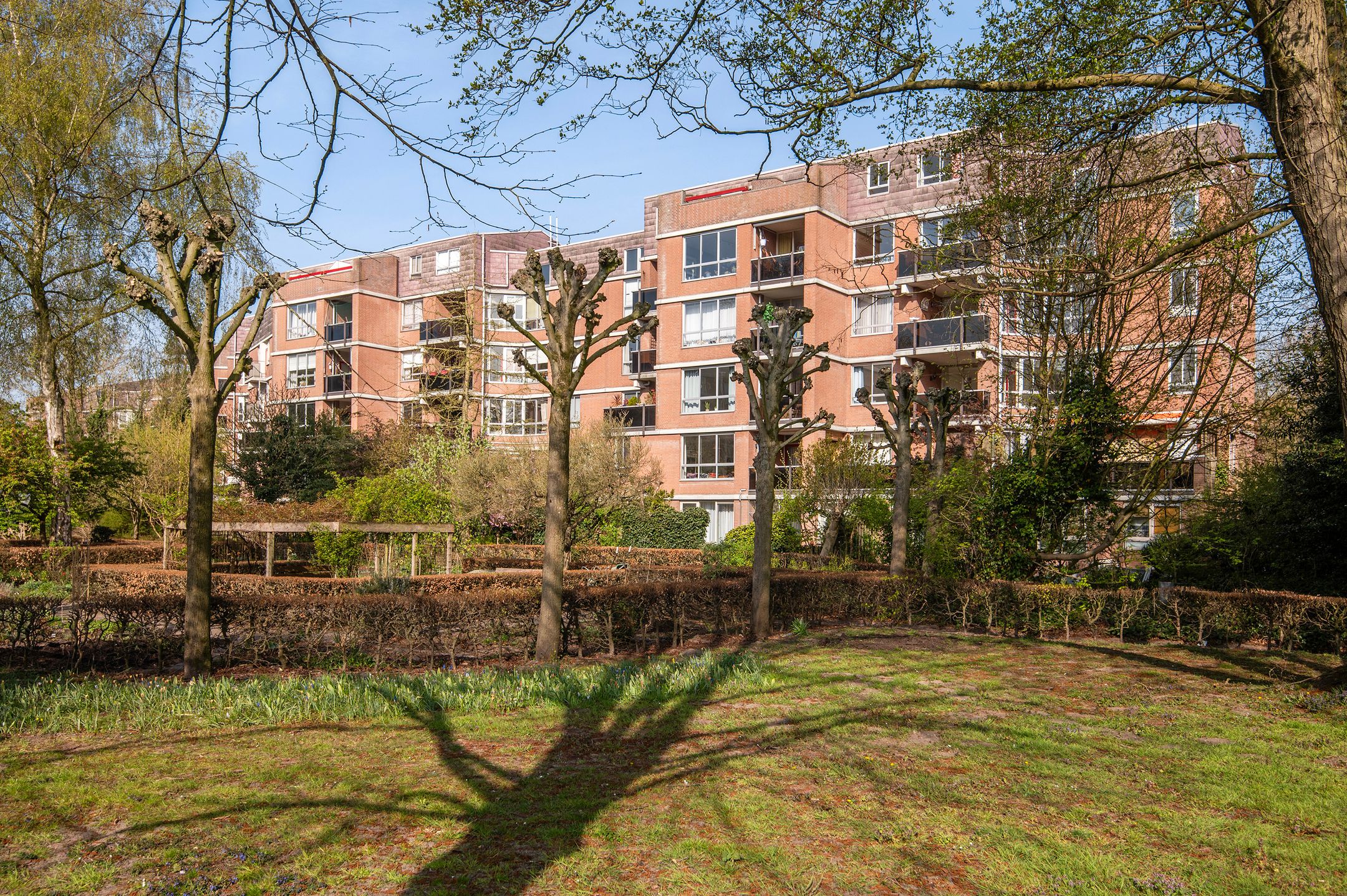 Foto 6 van Leerdamhof 422