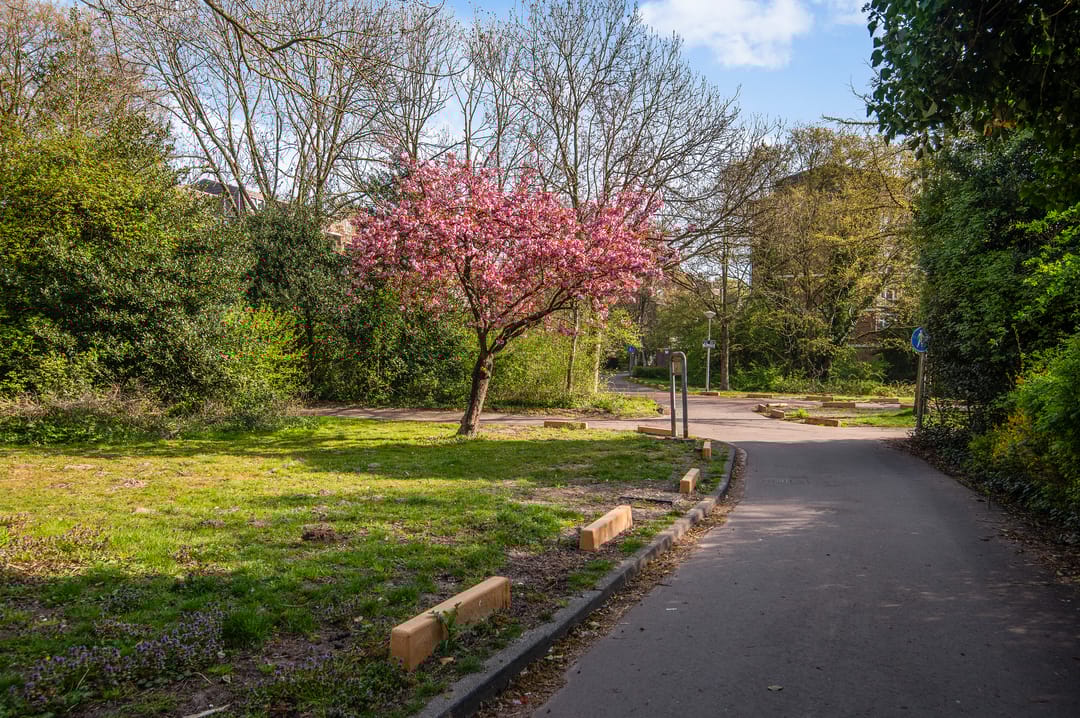 Foto 16 van Leerdamhof 422