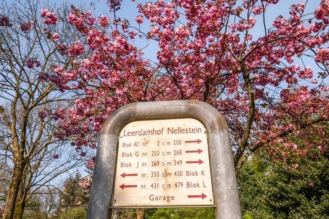 Foto 17 van Leerdamhof 422