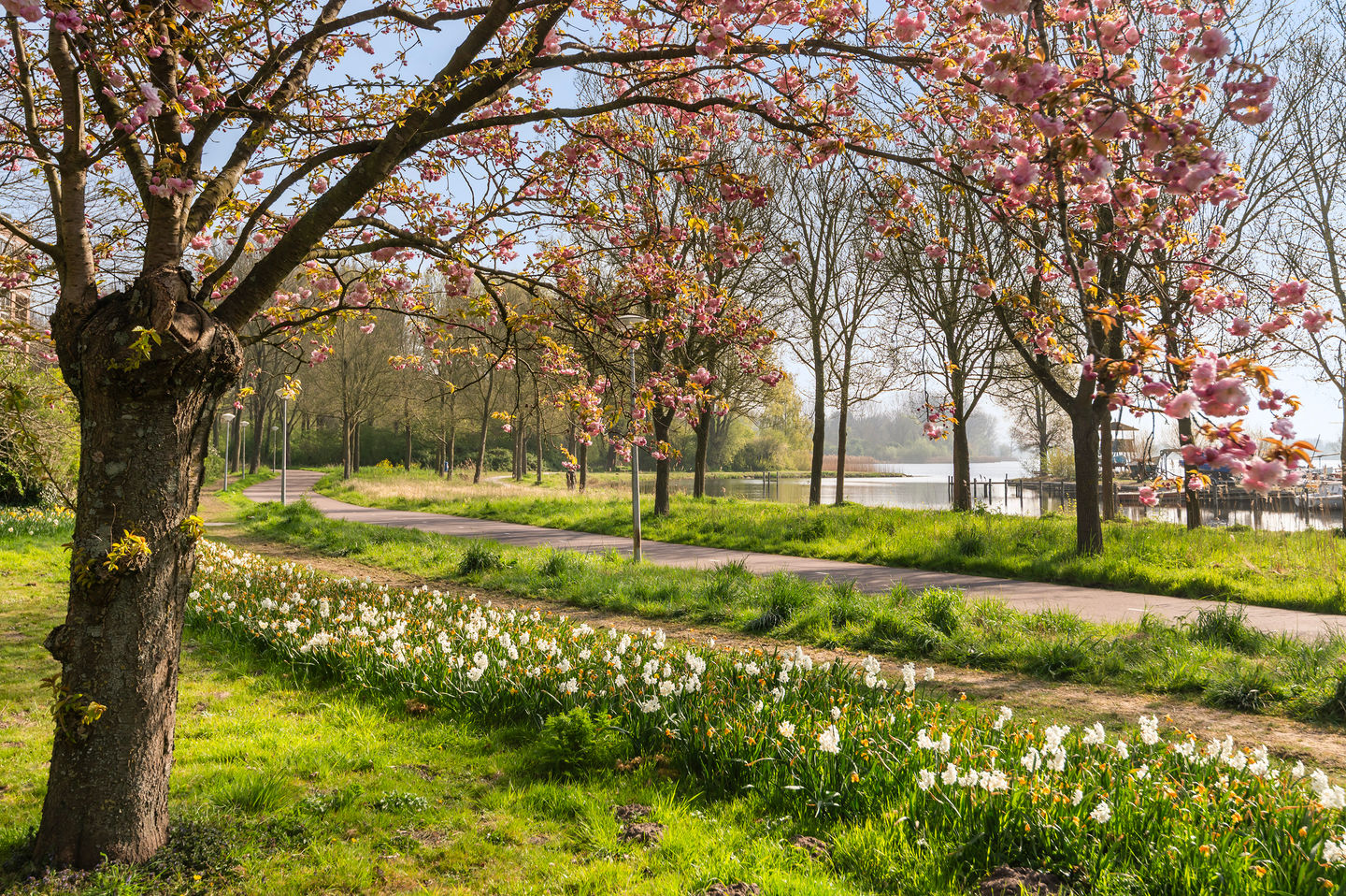 Foto 20 van Leerdamhof 422