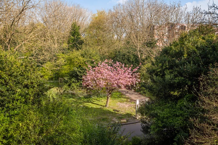 Foto 7 van Leerdamhof 422