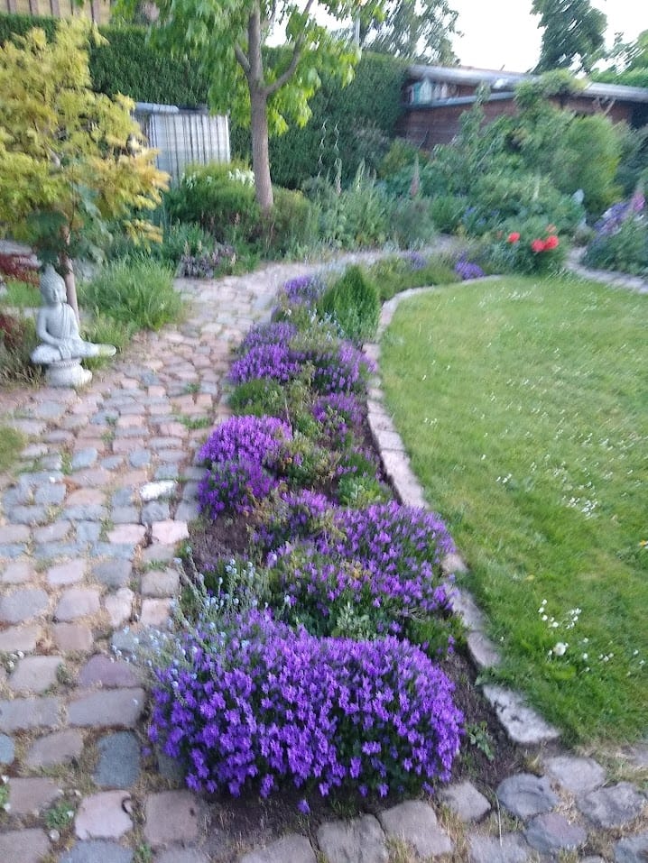 Photo 41 of Koninginneweg 2