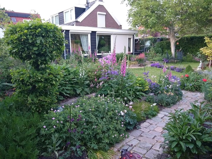 Photo 43 of Koninginneweg 2