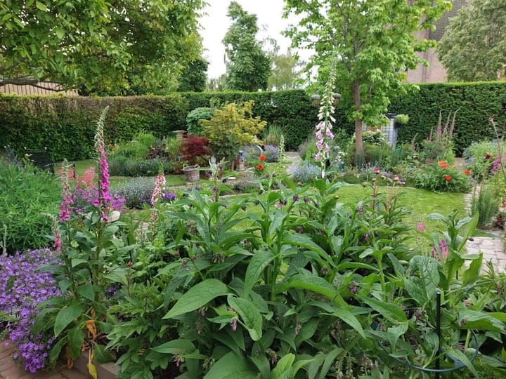 Photo 49 of Koninginneweg 2