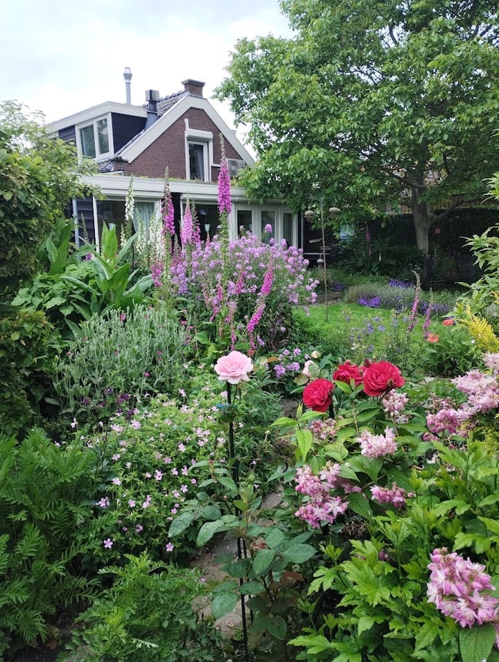 Photo 59 of Koninginneweg 2