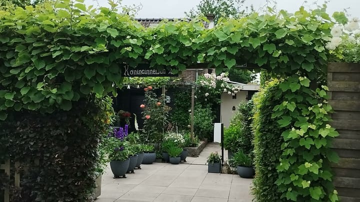 Photo 60 of Koninginneweg 2