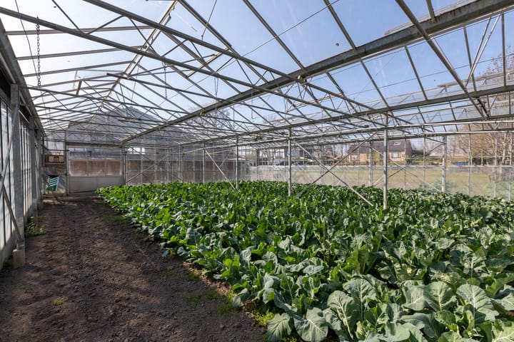 Foto 25 van Zwethkade Zuid 16