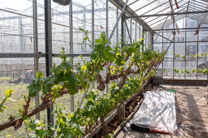 Foto 26 van Zwethkade Zuid 16