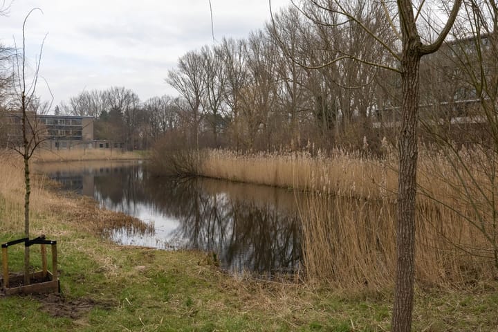 Foto 26 van Hora Siccamasingel 79