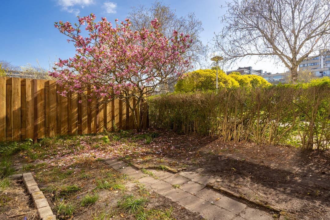 Photo 22 of Moezeldreef 49