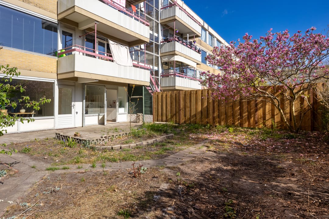 Photo 23 of Moezeldreef 49