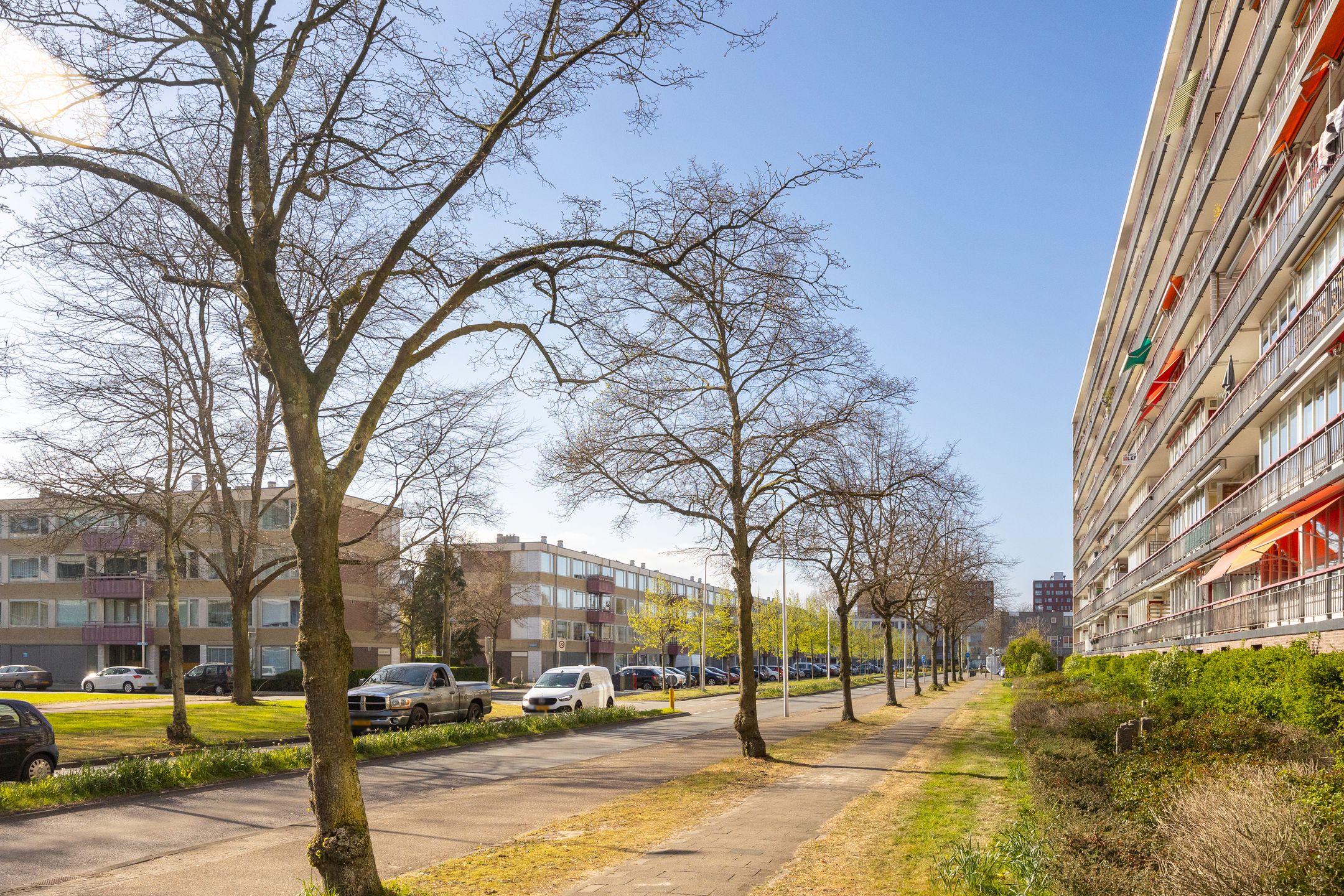 Photo 39 of Moezeldreef 49