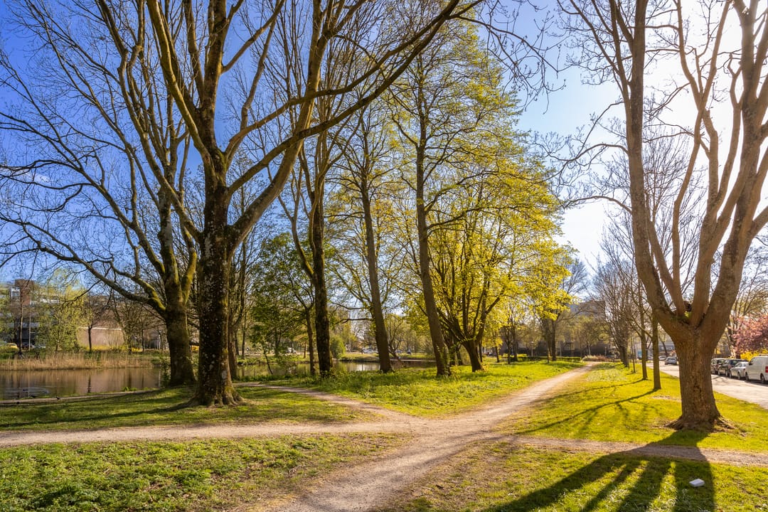 Photo 43 of Moezeldreef 49