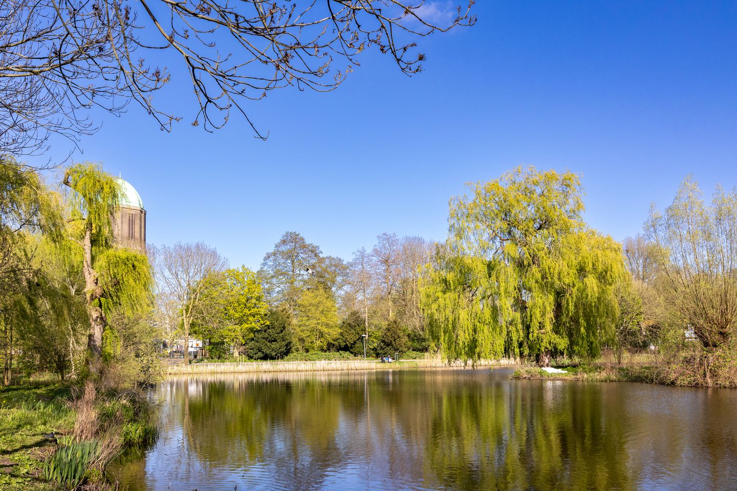 Photo 44 of Moezeldreef 49