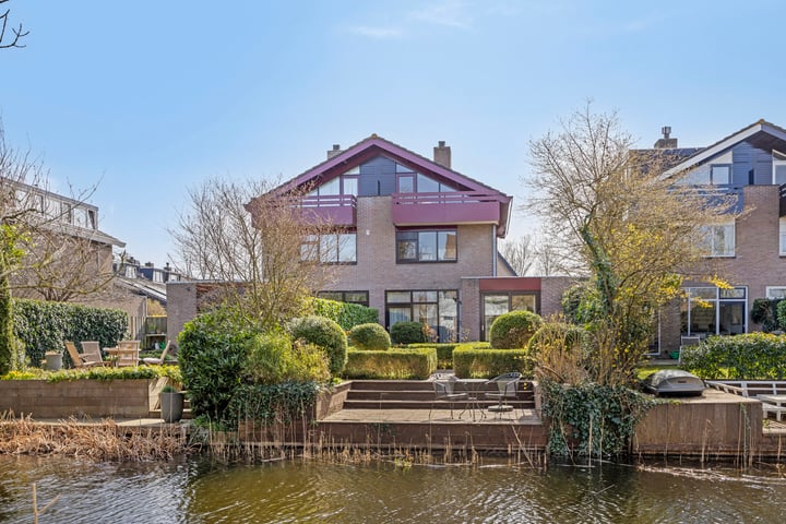 Zonnebloem 62
