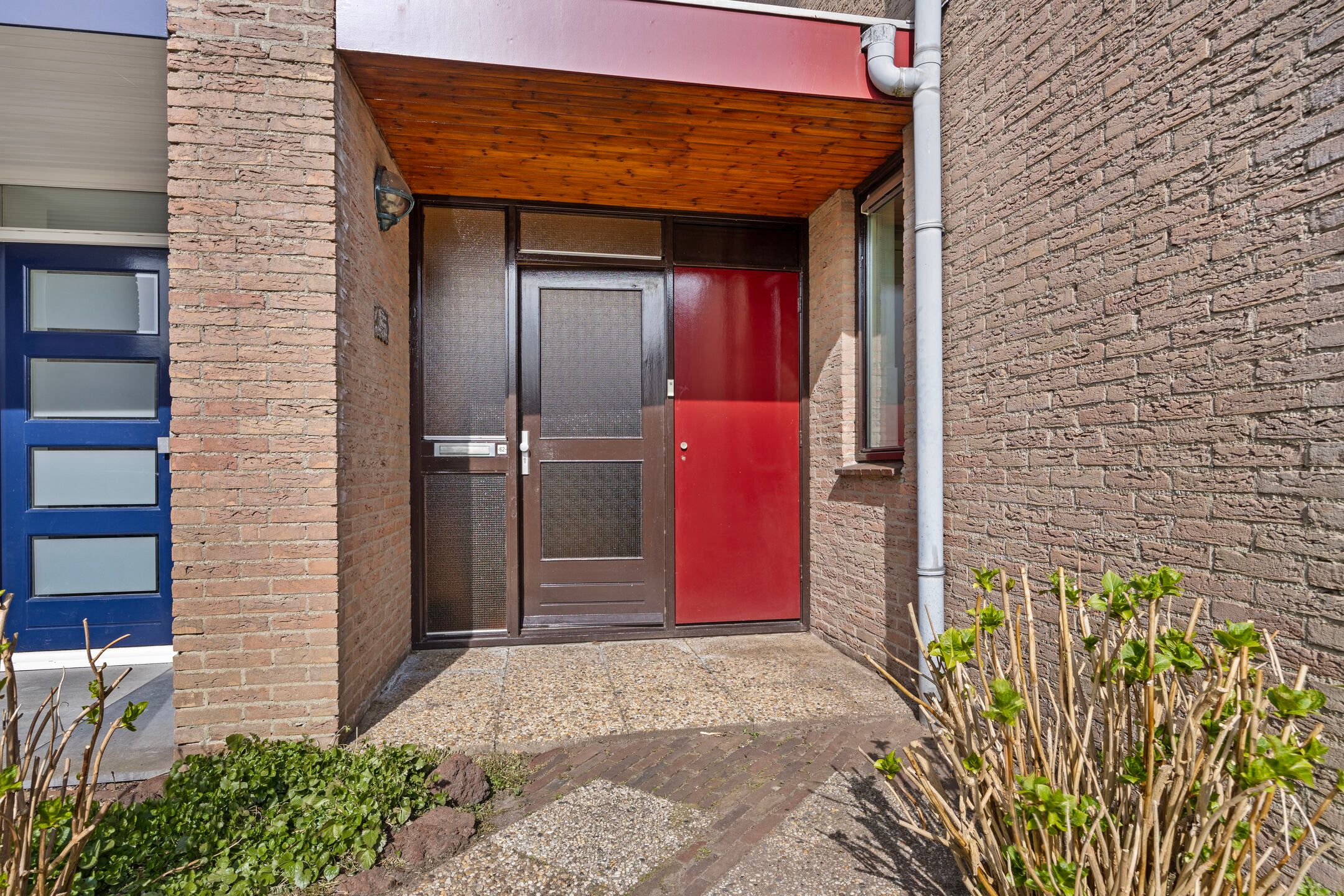 Foto 12 van Zonnebloem 62