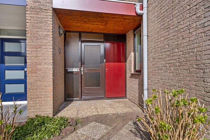 Foto 12 van Zonnebloem 62