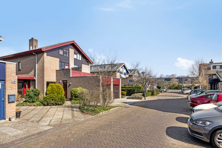 Foto 8 van Zonnebloem 62