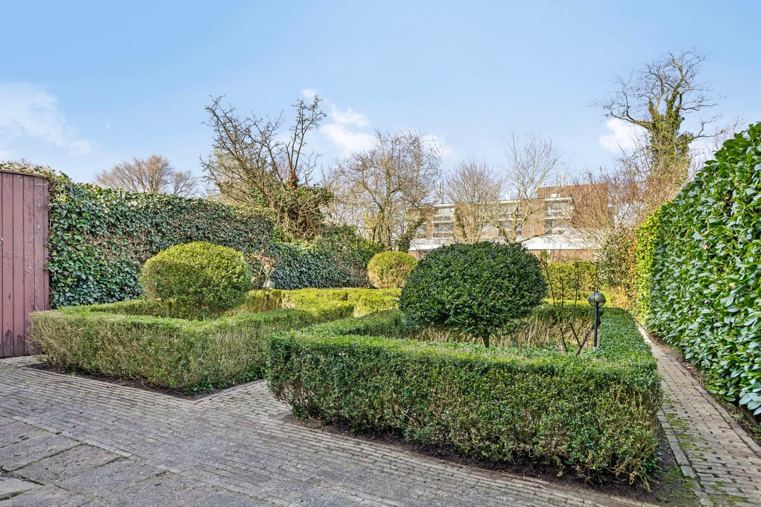 Foto 43 van Zonnebloem 62