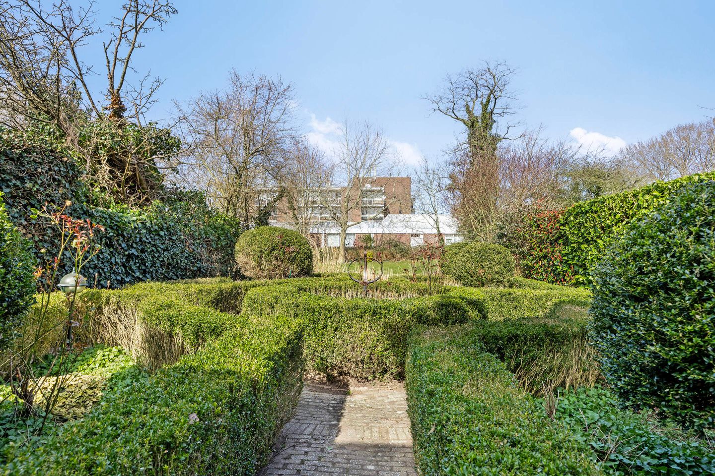 Foto 44 van Zonnebloem 62