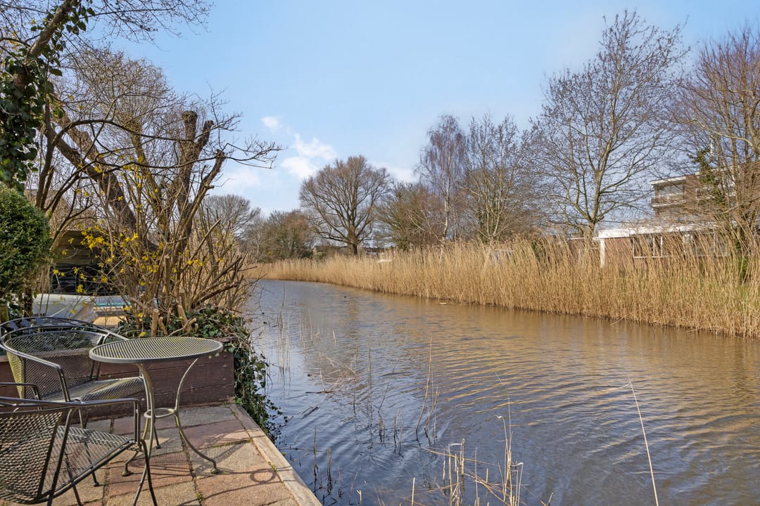 Foto 46 van Zonnebloem 62