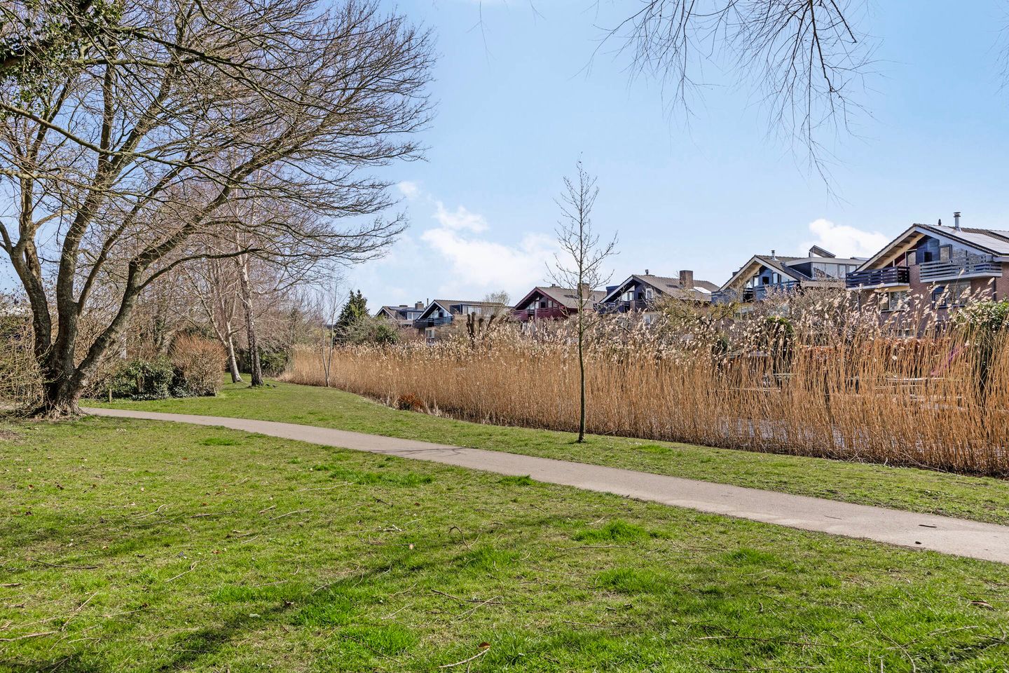 Foto 49 van Zonnebloem 62