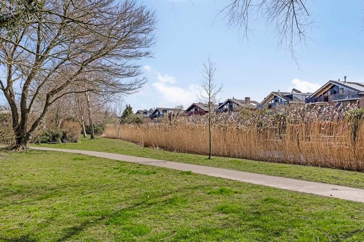 Foto 49 van Zonnebloem 62