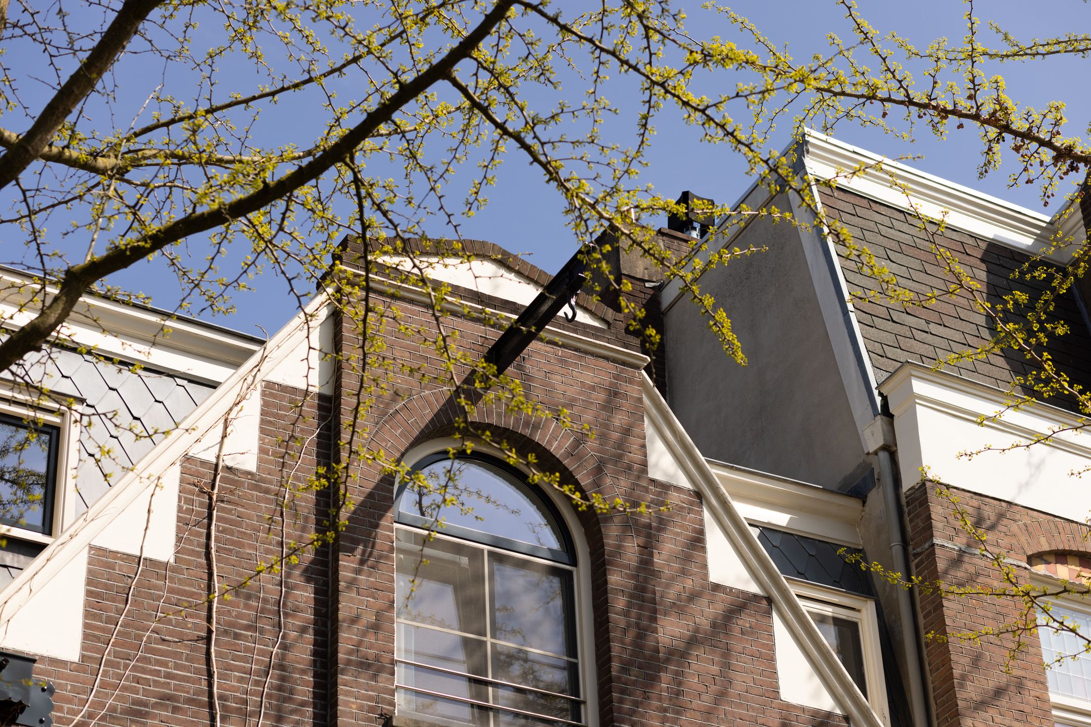 Foto 9 van Bredeweg 29