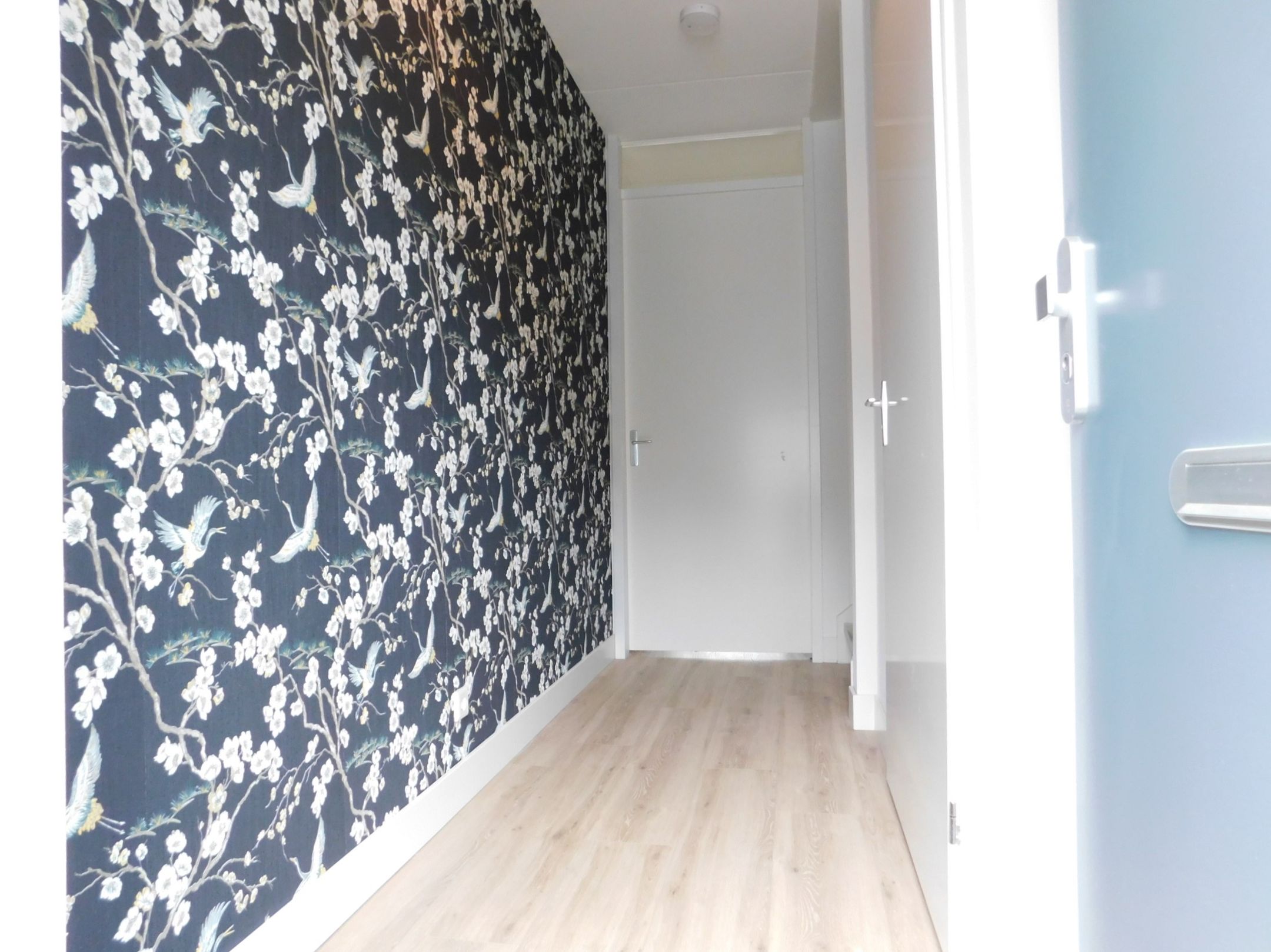 Photo 6 of Koningin Máximalaan 29