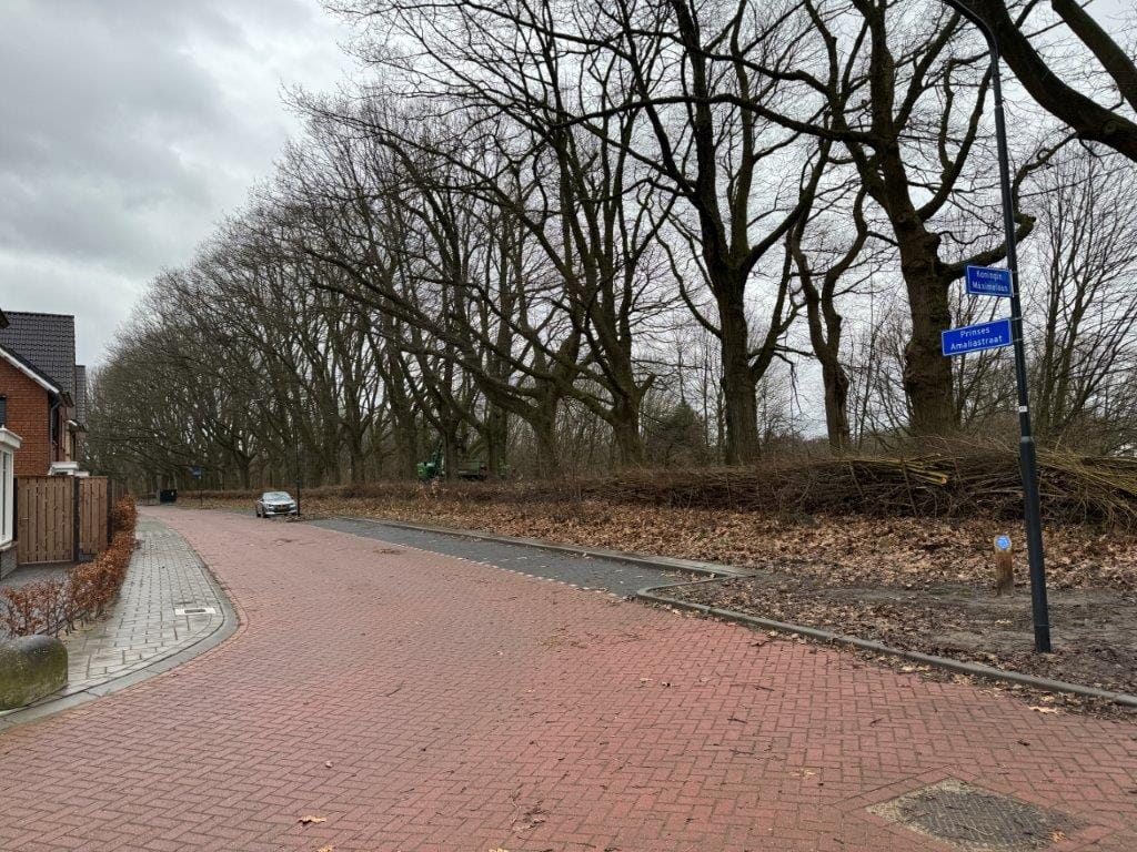 Photo 20 of Koningin Máximalaan 29