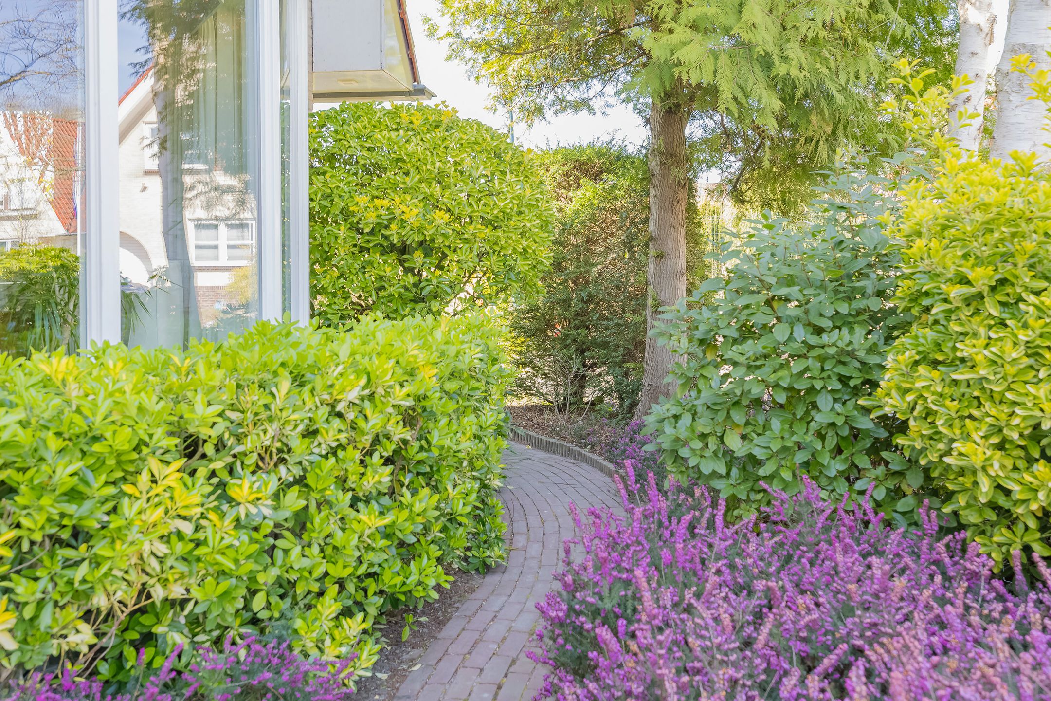 Foto 51 van Dirck van Swietenlaan 25