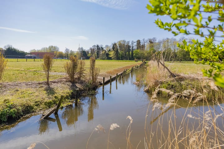 Foto 62 van Dirck van Swietenlaan 25