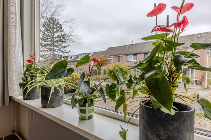 Foto 13 van Verzetstraat 69