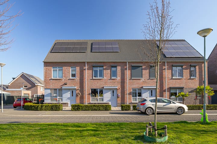 Photo 21 of Steenuil 47