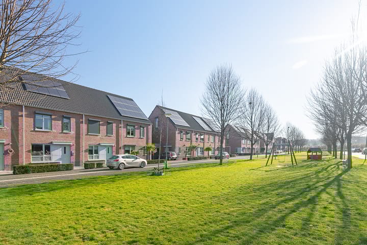 Photo 22 of Steenuil 47