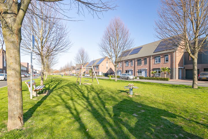 Photo 23 of Steenuil 47