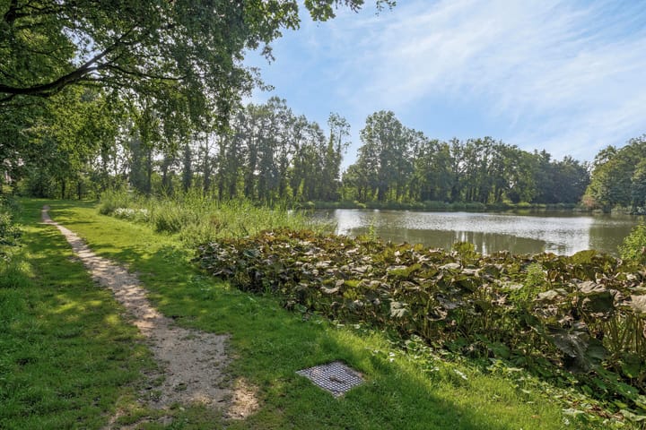 Foto 40 van Odemarusstraat 6