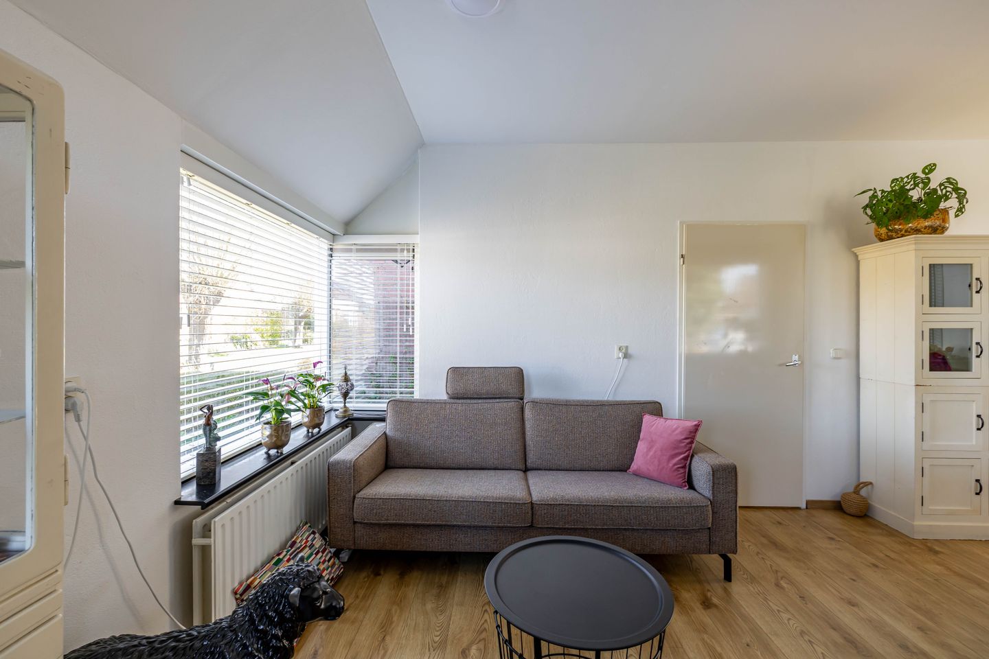 Foto 4 van F. Cleveringastraat 13