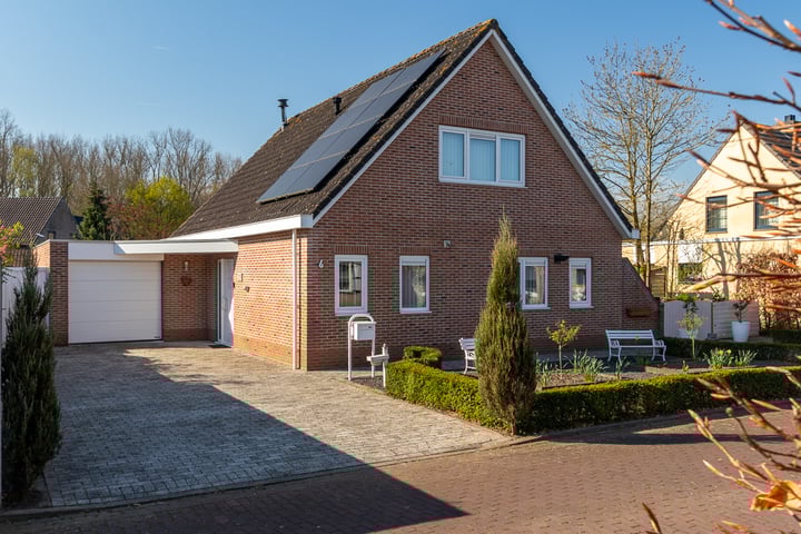 Foto 7 van Klaver 6