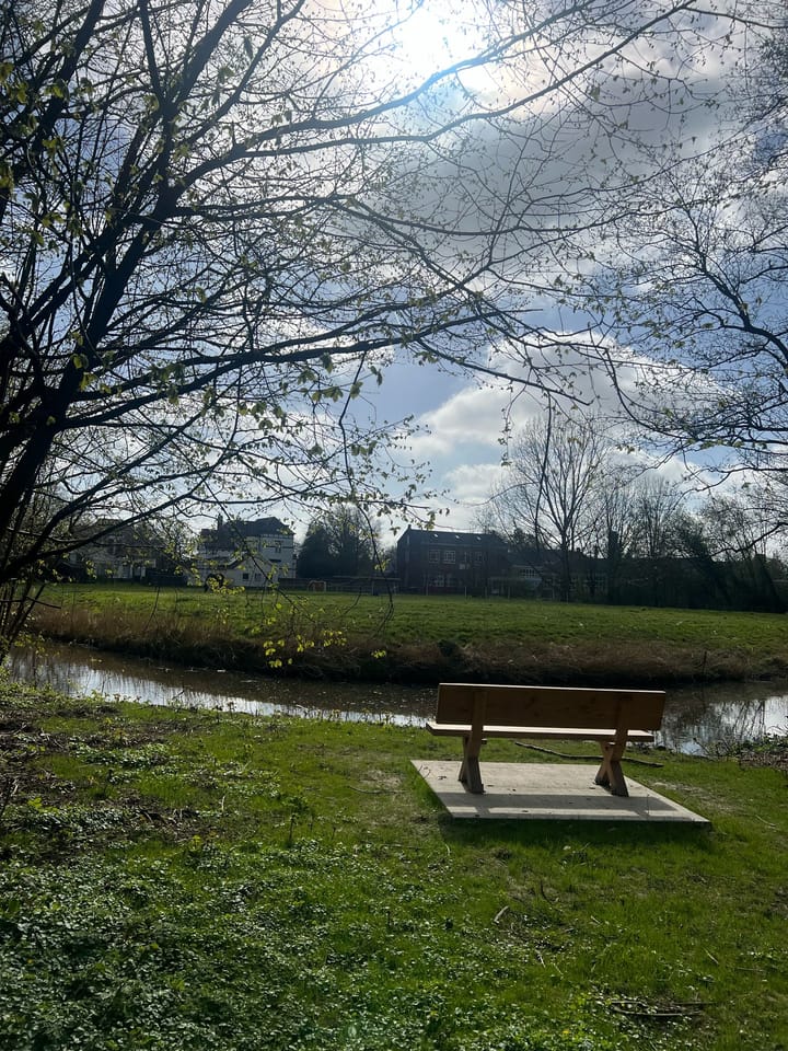 Foto 38 van F. Cleveringastraat 13