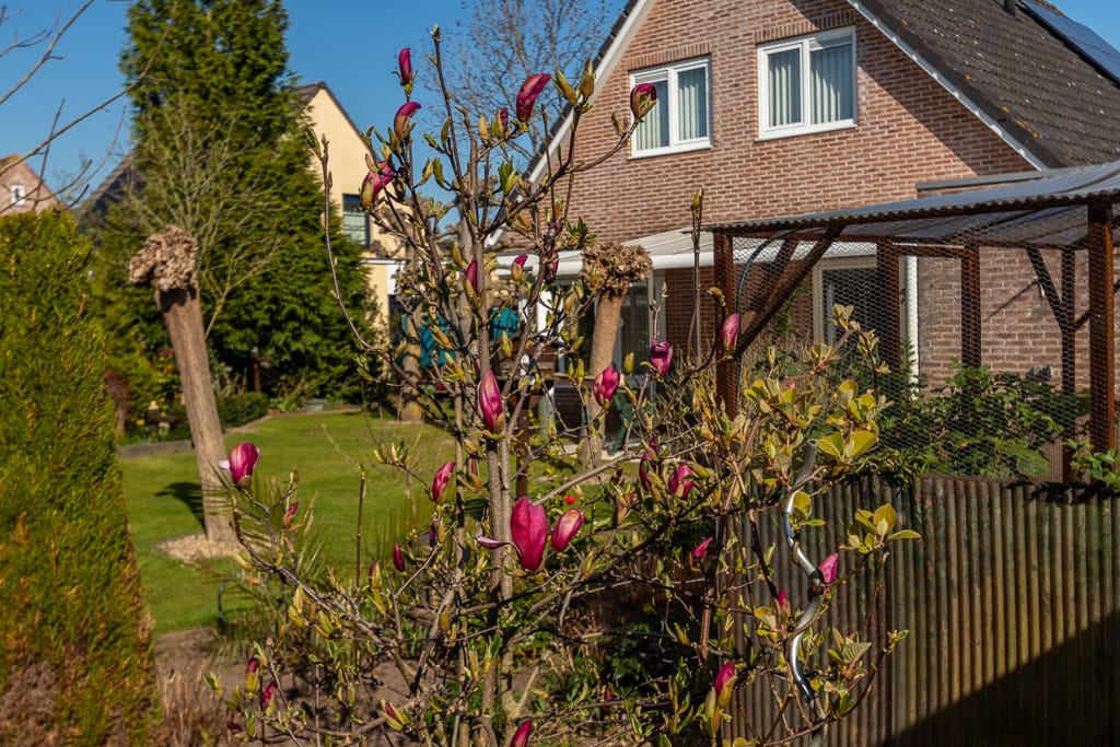 Photo 32 of Klaver 6