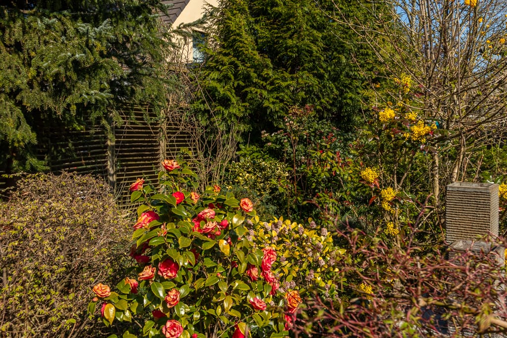 Photo 33 of Klaver 6