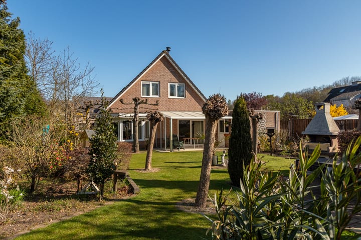 Foto 37 van Klaver 6