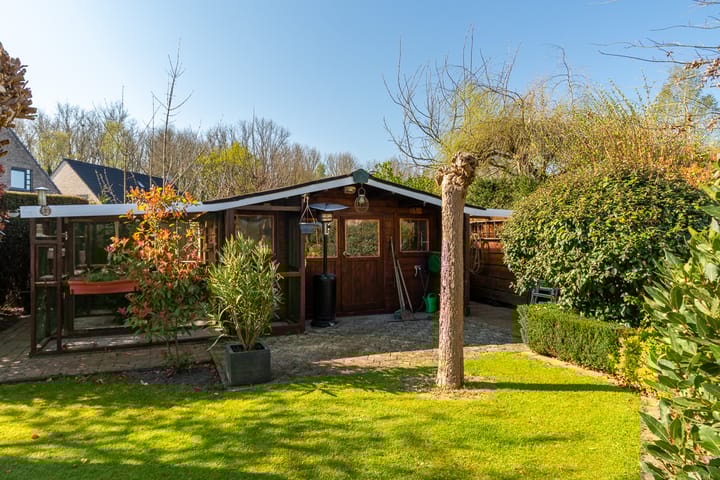 Foto 38 van Klaver 6