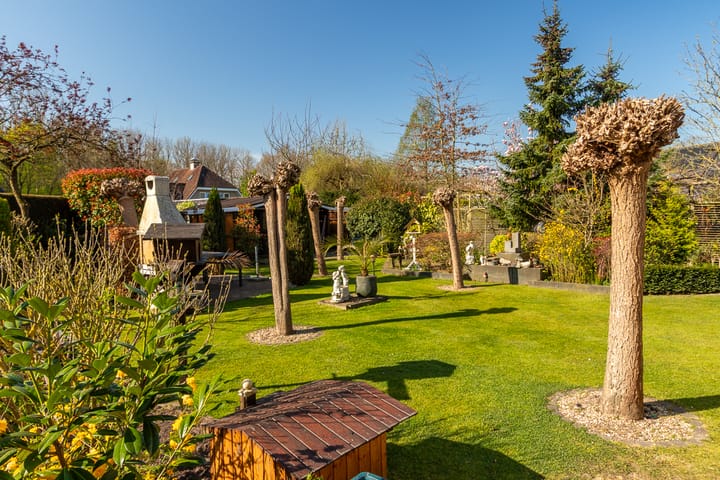 Foto 39 van Klaver 6